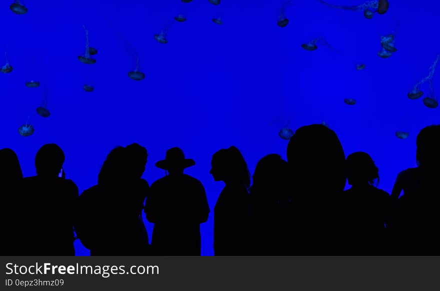 The silhouettes of people watching jellyfish in an aquarium.