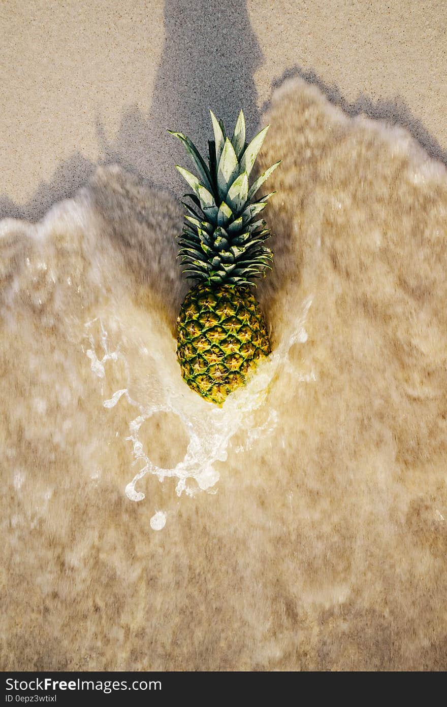 Fresh whole ripe pineapple on sandy beach in ocean waves. Fresh whole ripe pineapple on sandy beach in ocean waves.