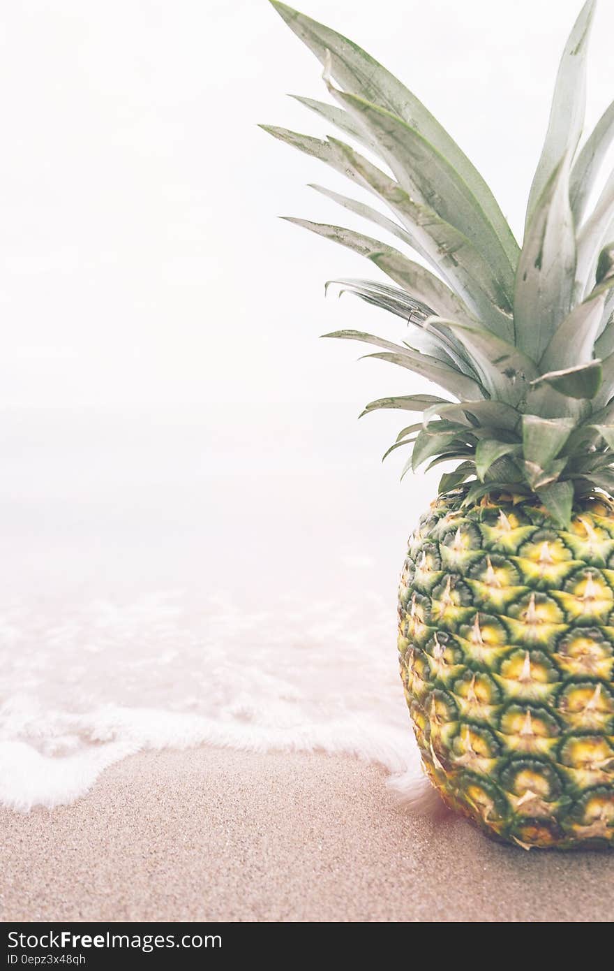 Fresh whole ripe pineapple on sandy beach with ocean waves. Fresh whole ripe pineapple on sandy beach with ocean waves.