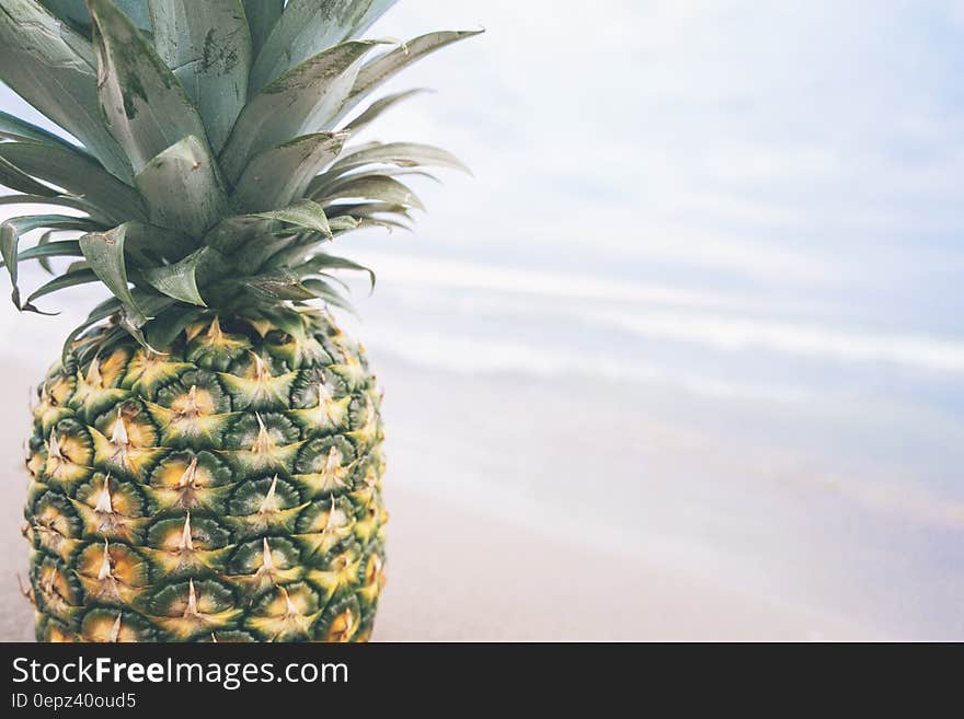 Close up of whole fresh pineapple on sunny beach. Close up of whole fresh pineapple on sunny beach.