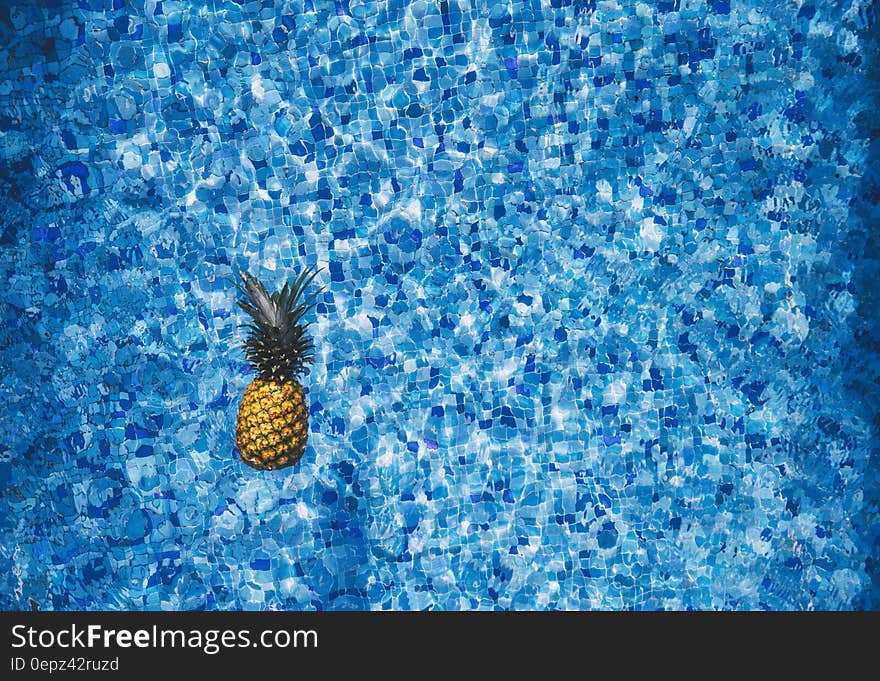 Fresh whole pineapple floating in swimming pool with blue tiles. Fresh whole pineapple floating in swimming pool with blue tiles.