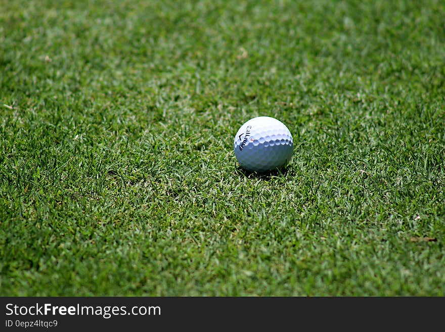 Callaway golf ball on green grass fairway on sunny day. Callaway golf ball on green grass fairway on sunny day.