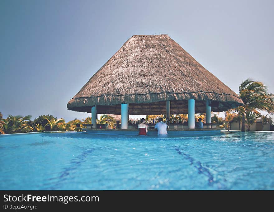 A tropical bar in a swimming pool. A tropical bar in a swimming pool.