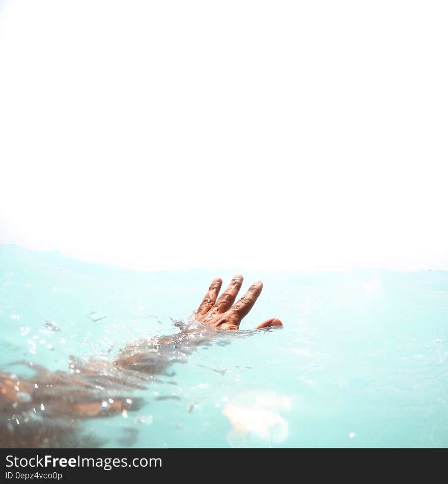 The hand of a swimmer in the water. The hand of a swimmer in the water.