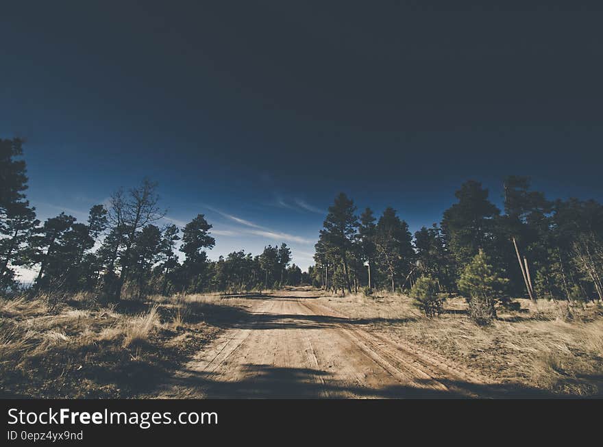 Empty dirt road in countryside on sunny day.