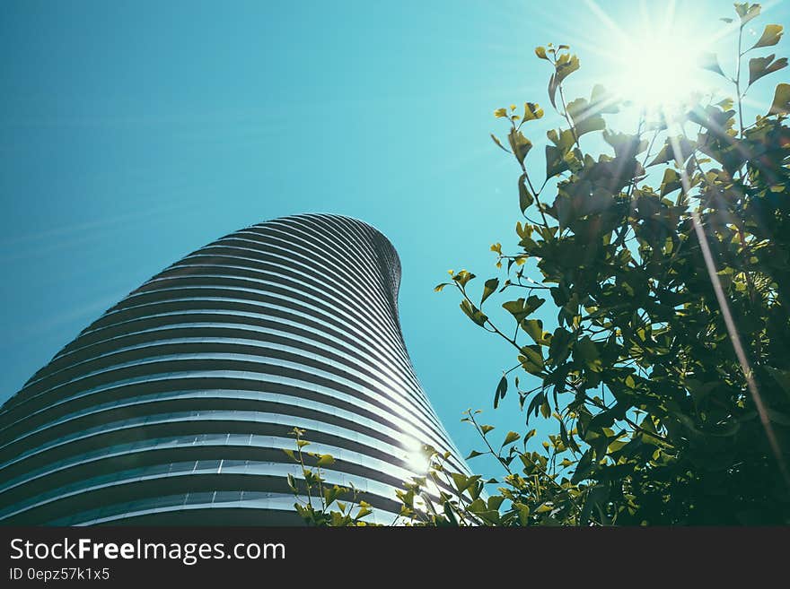 Facade of modern building over green tree top against blue skies on sunny day. Facade of modern building over green tree top against blue skies on sunny day.