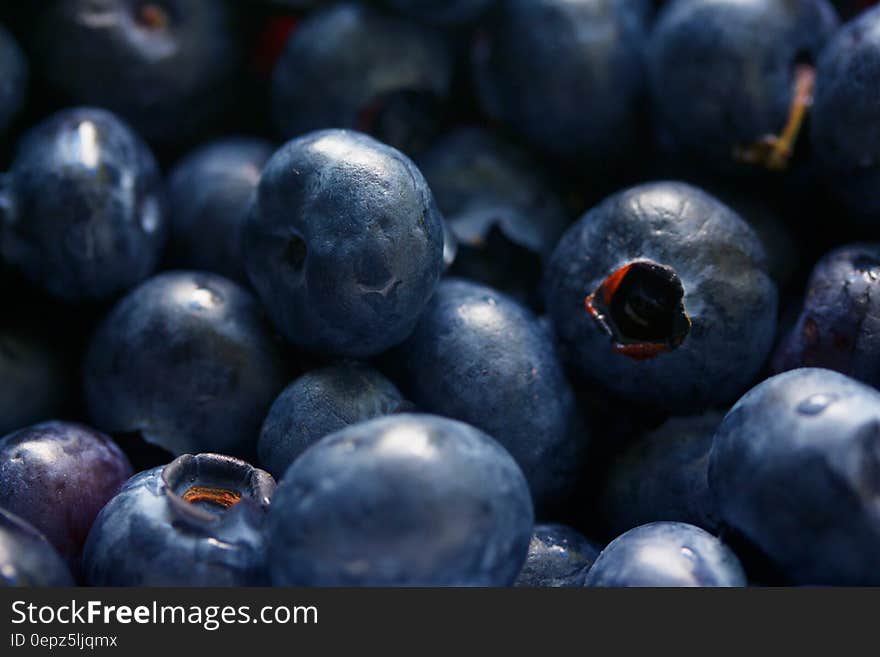 Close Up Photography of Grey Round Fruits