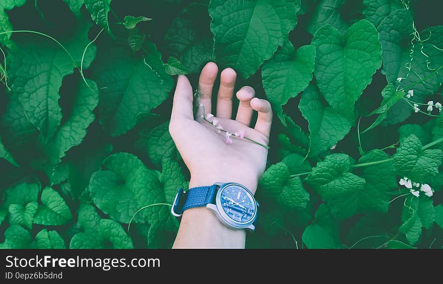 Close Up Photo of a Person Wearing Wristwatch