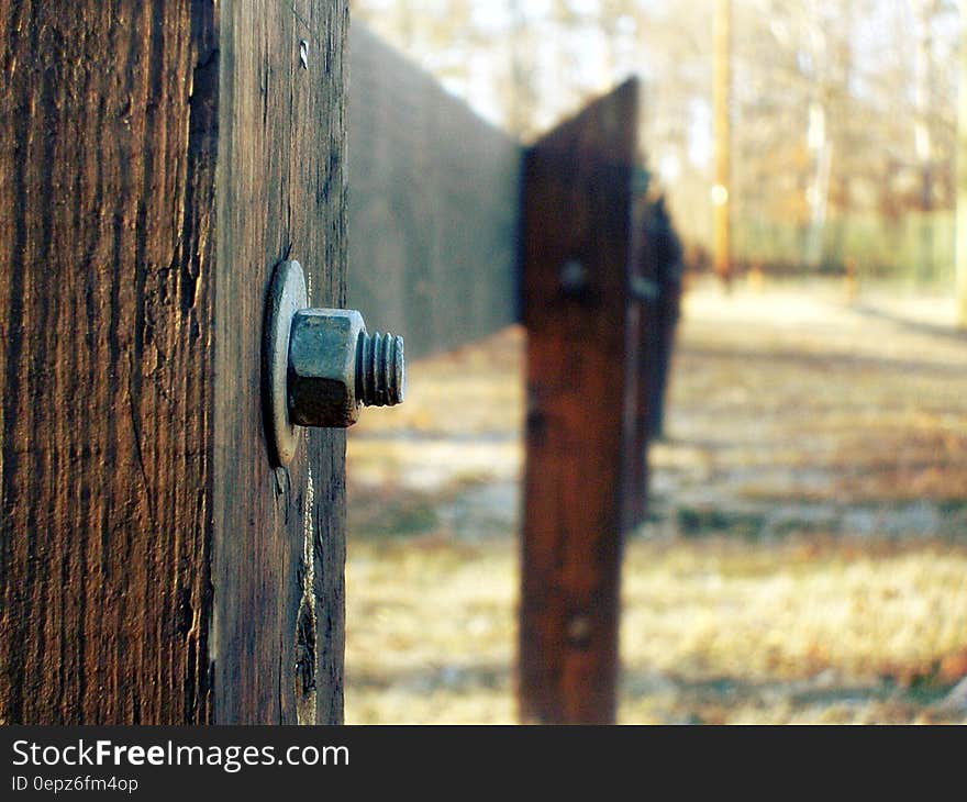 Selective Focus Photography of Grey Bolt Pierced in Brown Wooden Fence during Daytime