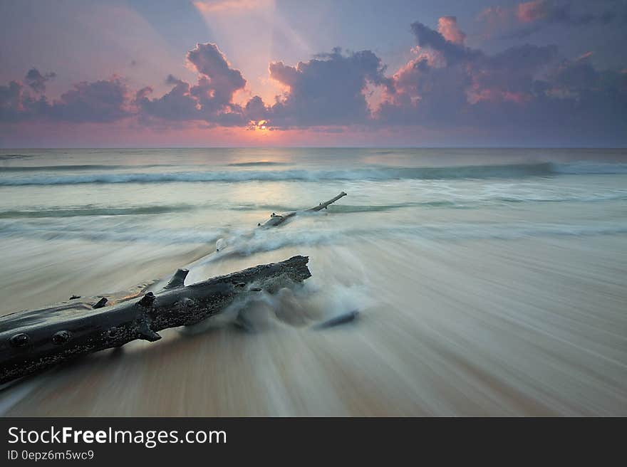 Brown Tree Log on White Waves