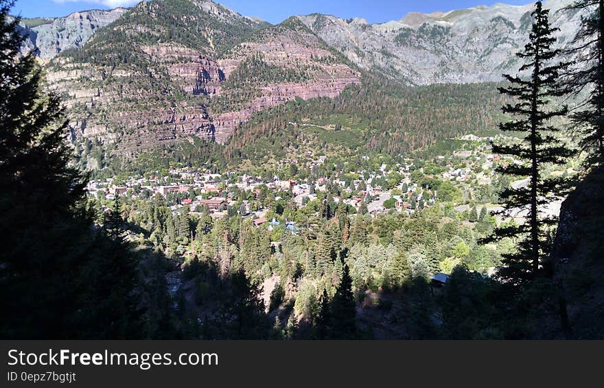 Green Trees on Hills during Daytime