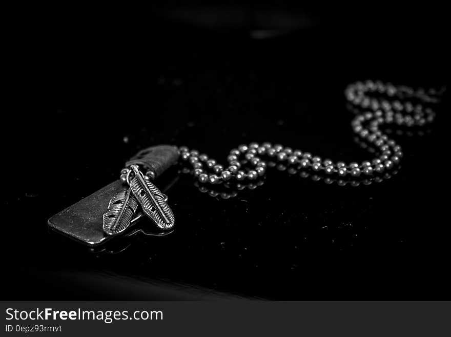 Silver Dog Tag Necklace on Black Background