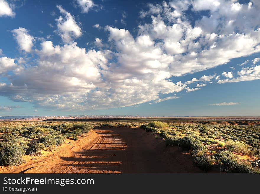 Brown Desert Road Between Green Leafed Plants Under Gray Cloudy Sky during Daytime