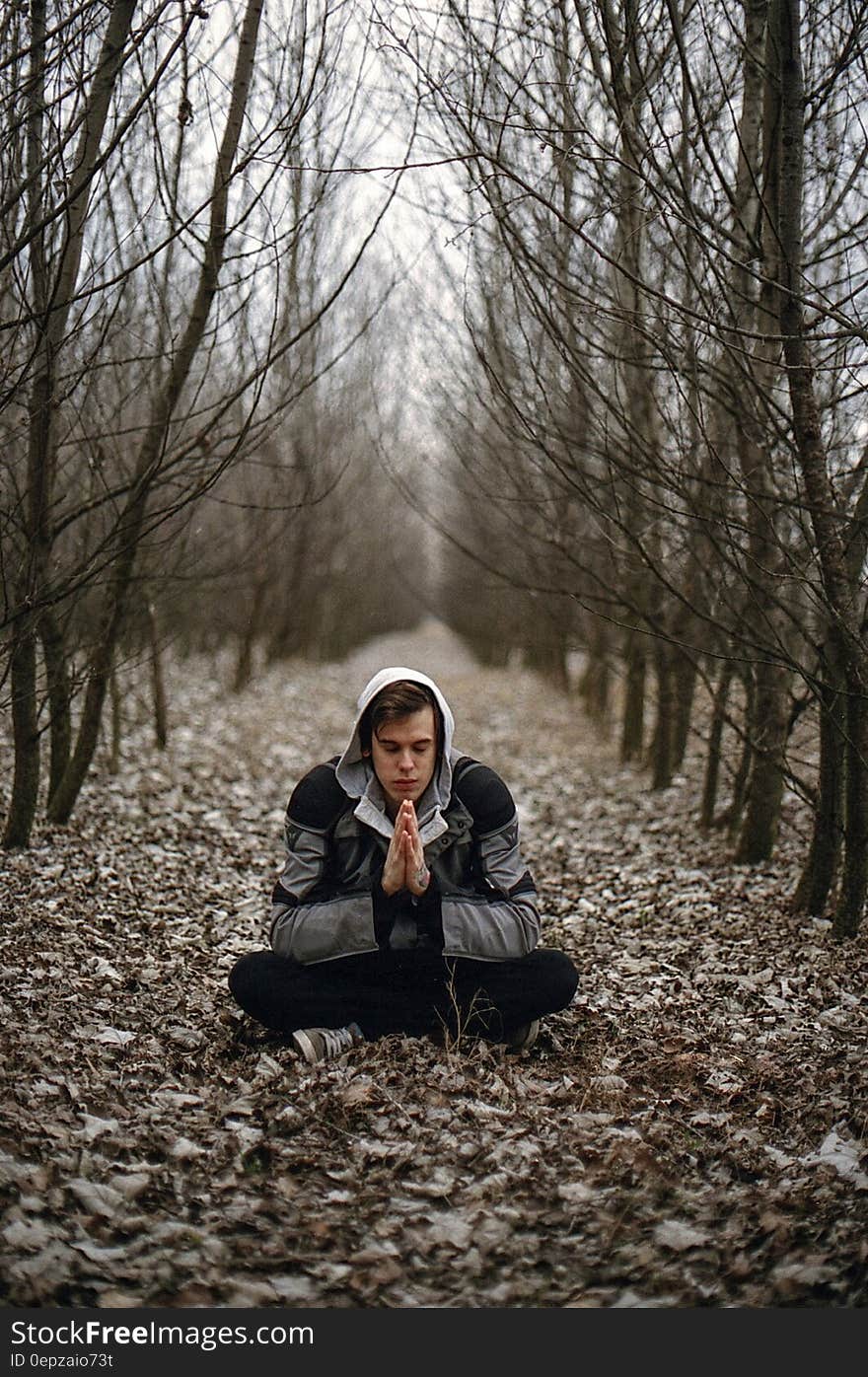 Man Wearing Gray Black Zip Hoodie Jacket Praying in Between Black Tree during Daytime