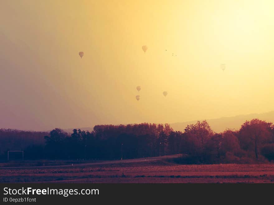 Hot air balloons over rural countryside at sunrise. Hot air balloons over rural countryside at sunrise.