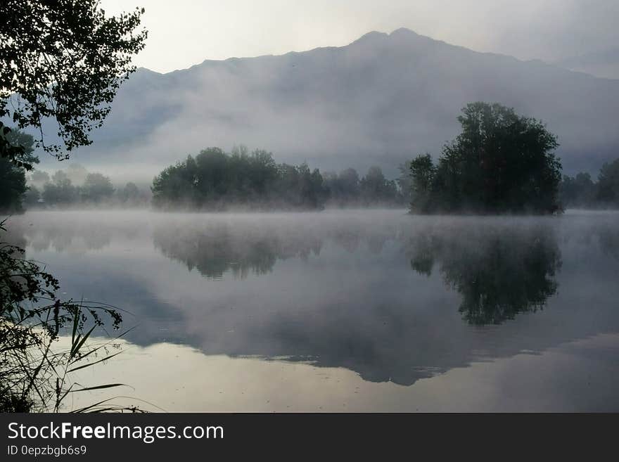 Bosy of Water Surrounded by Mist