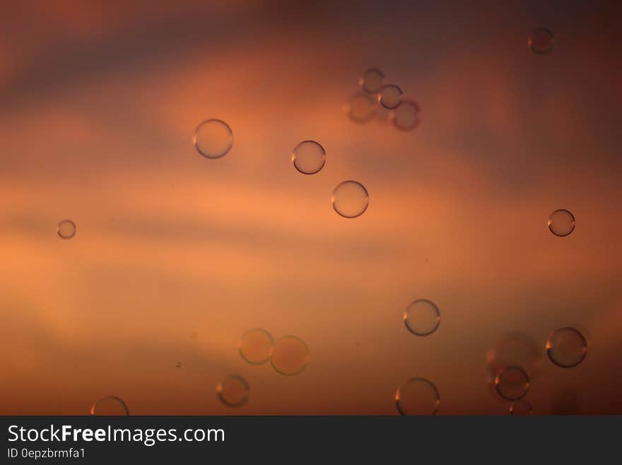 Water Drops in Time Lapse Photography