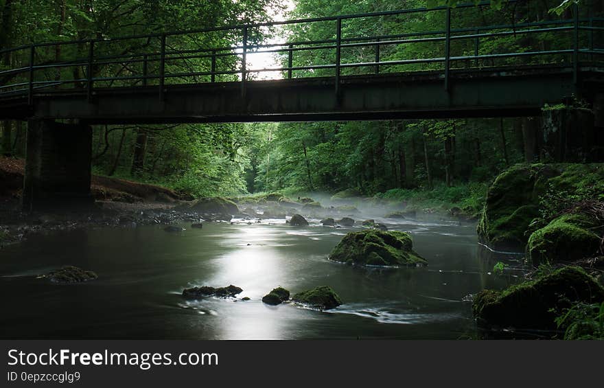 River With Rocks Under Bridge Surrounded by Green Leaf Trees during Daytime