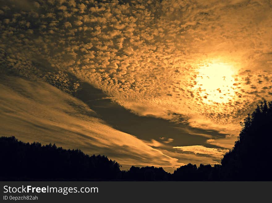 Partly clouded sky at sunset and vegetation silhouettes.