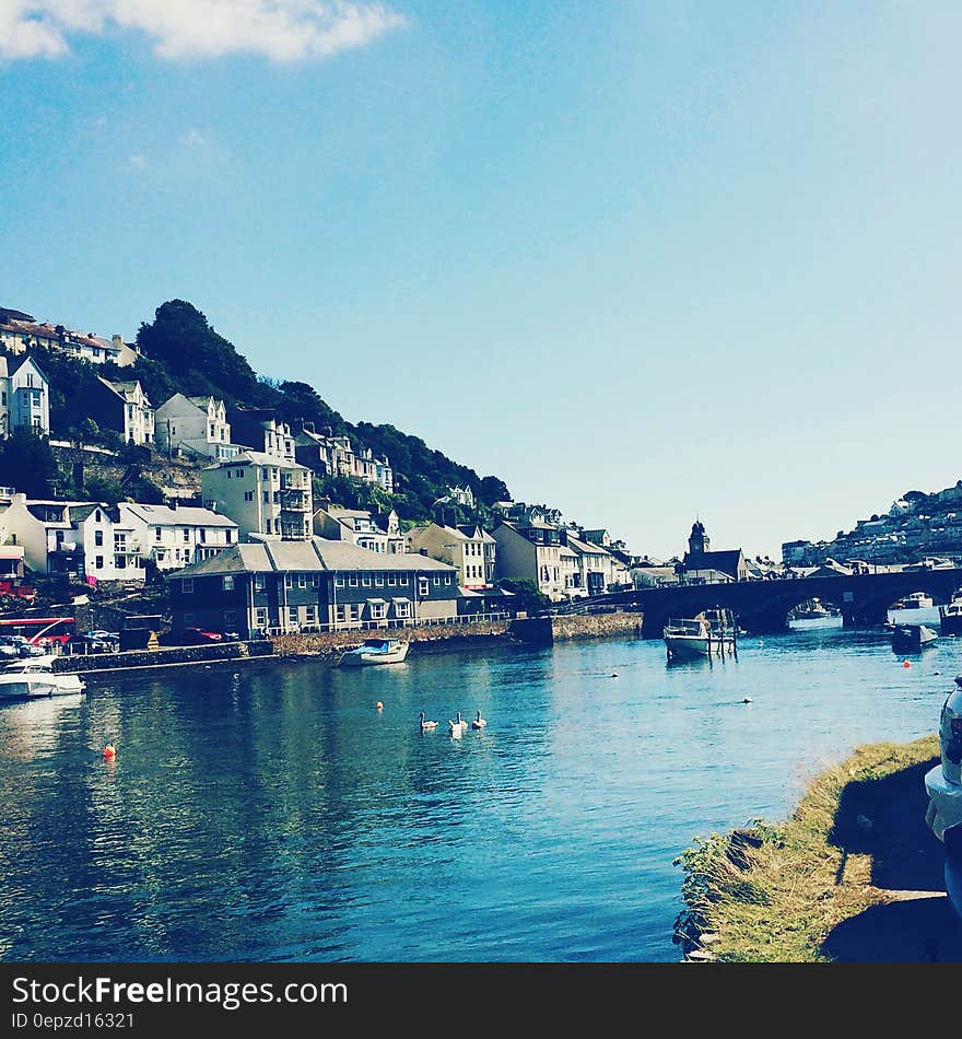 Boats in harbor with coastal houses on sunny day.