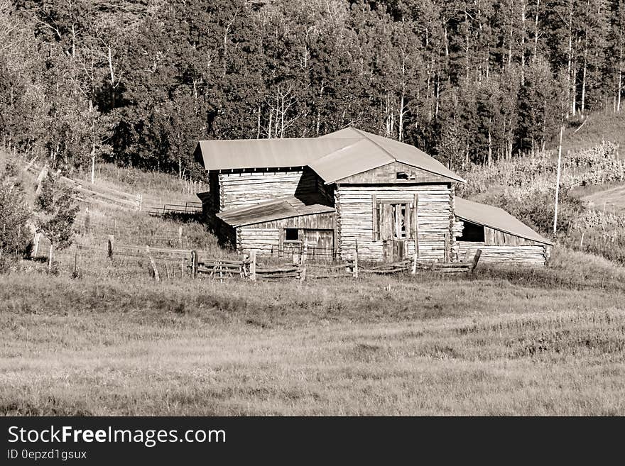 Gray Scale Photography of House Beside Trees