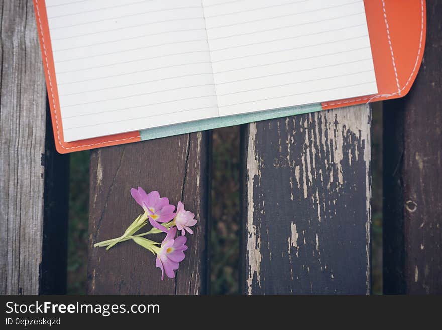 Purple Petaled Flower Beside White Line Paper on Black Wooden Desk