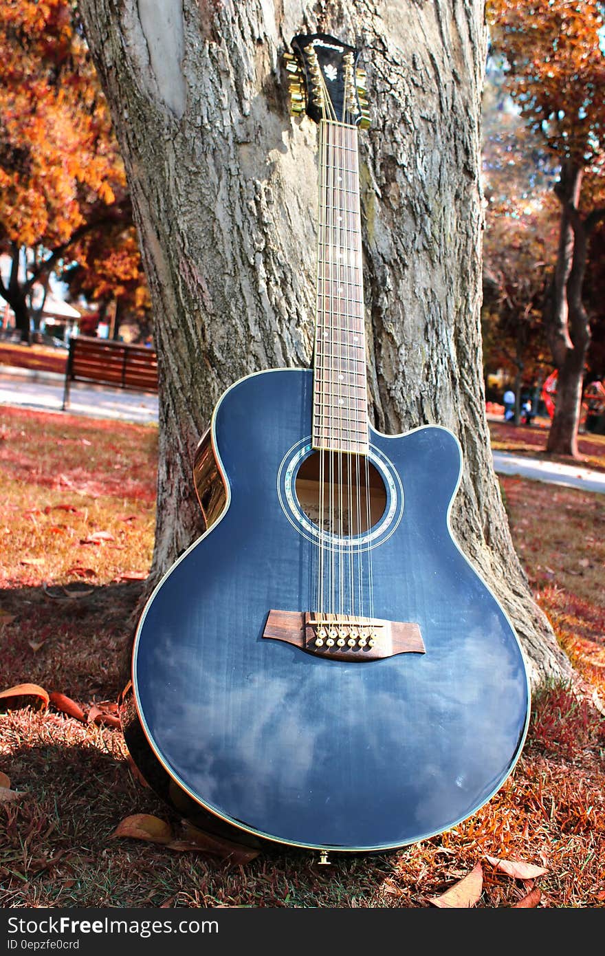 Blue Cut Away 12 String Guitar