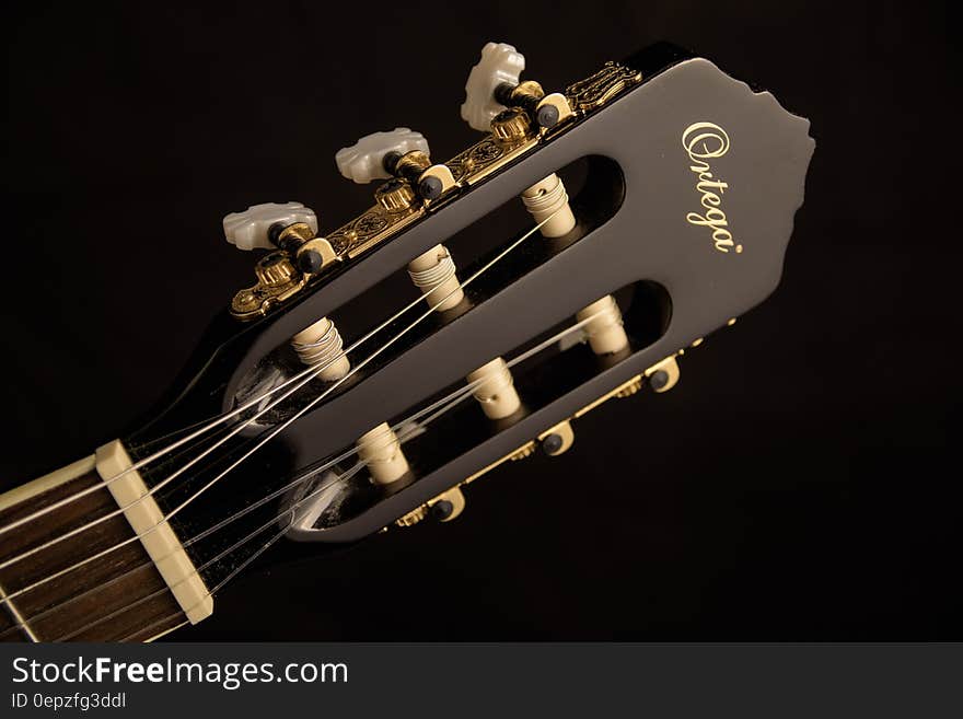 Black Ortega Guitar Headstock