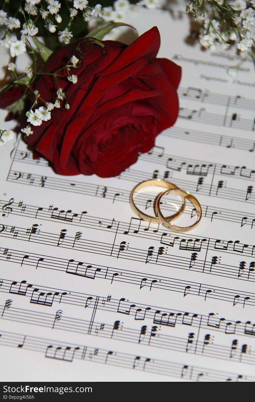 2 Gold Eternity Ring Near Red Rose on Musical Notes