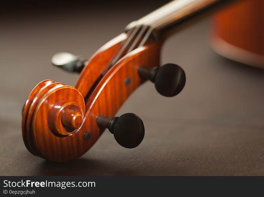 Close up of wooden strut on violin. Close up of wooden strut on violin.