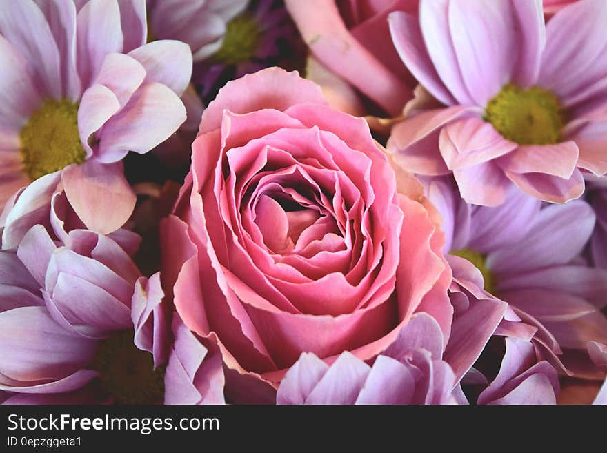 Close up of flowers in bouquet. Close up of flowers in bouquet.