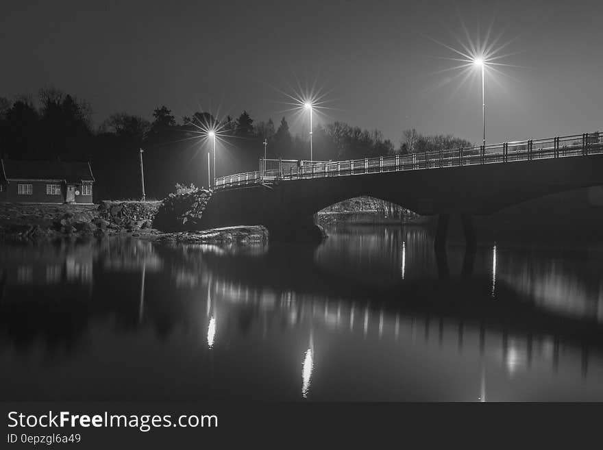 Grayscale Photo of Bridge at Night