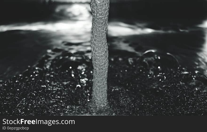 Grayscale Photo of Driftwood Near Seashore