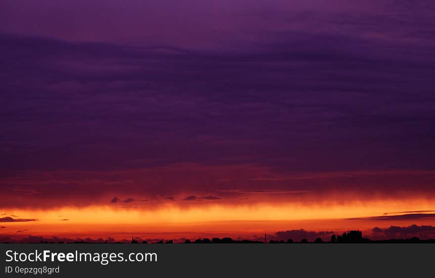 Silhouette of Trees Under Dark Sky during Dusk