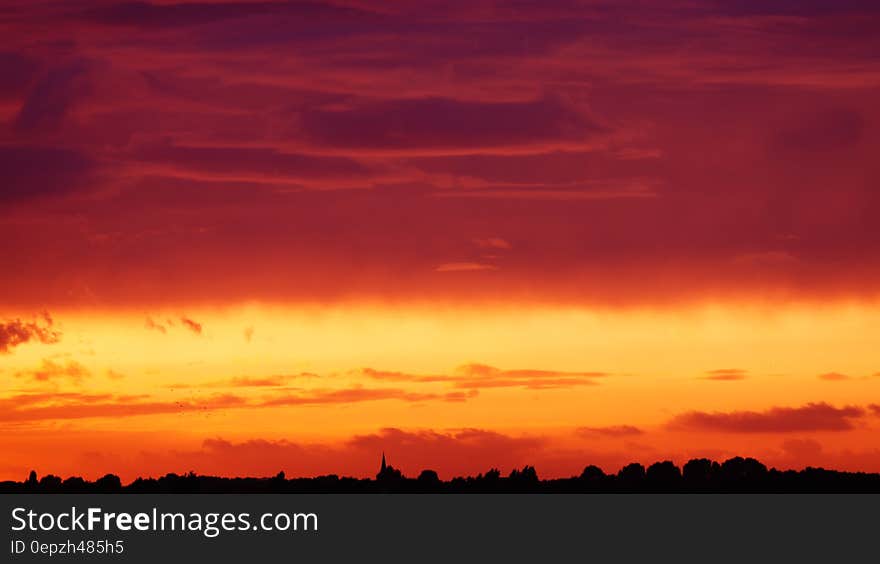 Silhouette of Trees Under Orange and Red Sky