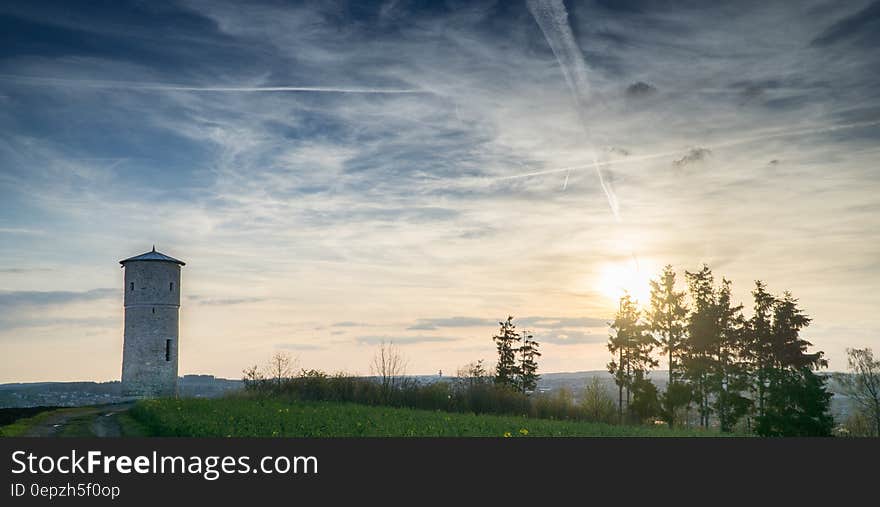 Green Trees on Horizon