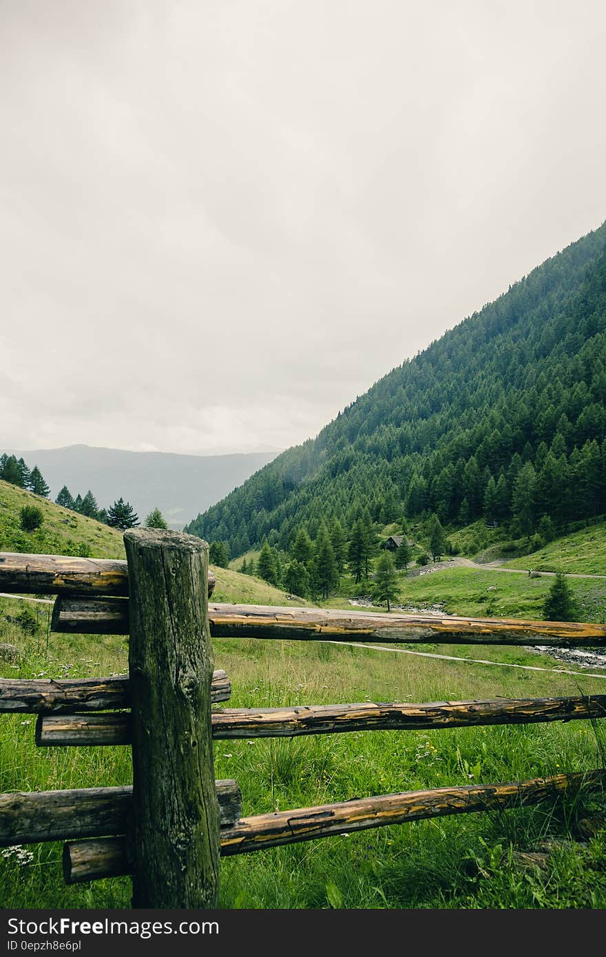 Green Trees on Mountain Under White Sky during Daytime