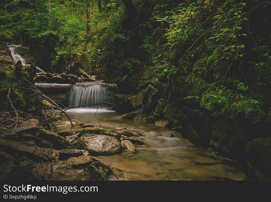 Forest and Water Falls Landscape Photo