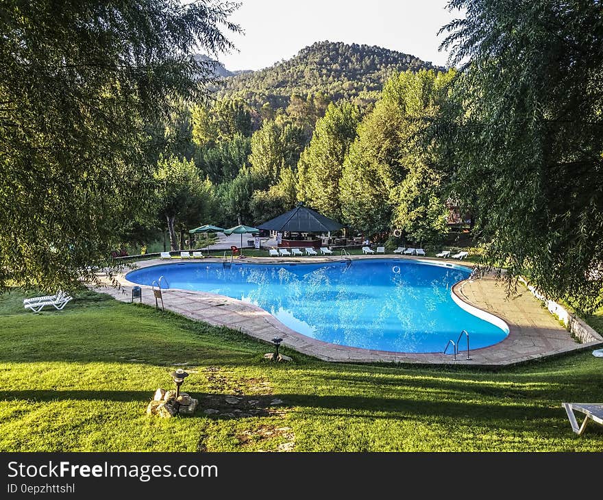 Green Grass Field Beside Swimming Pool during Daytime