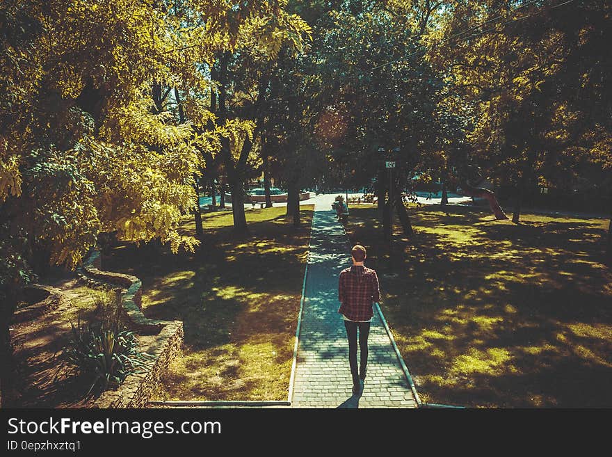 Pedestrians on cobblestone walk through green park. Pedestrians on cobblestone walk through green park.