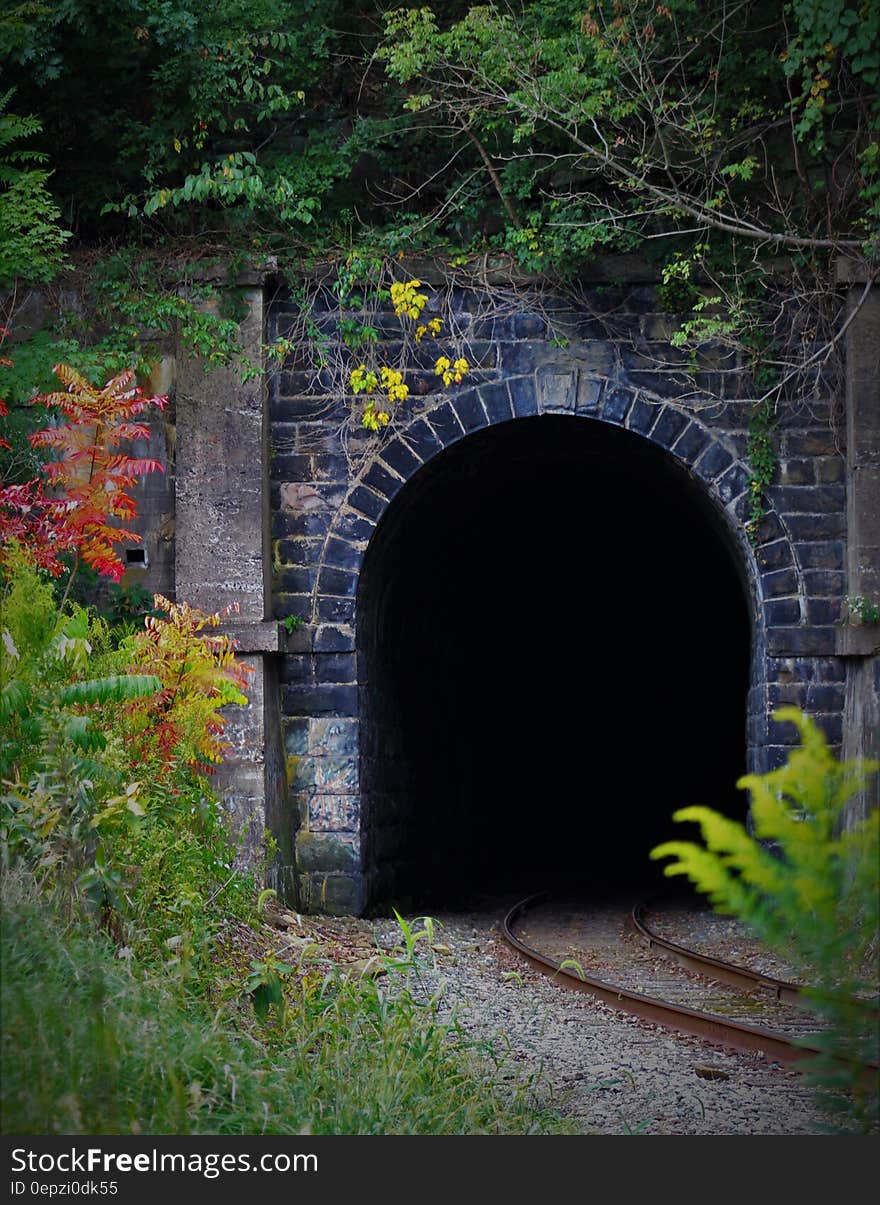 Photo of Train Tunnel during Daytime