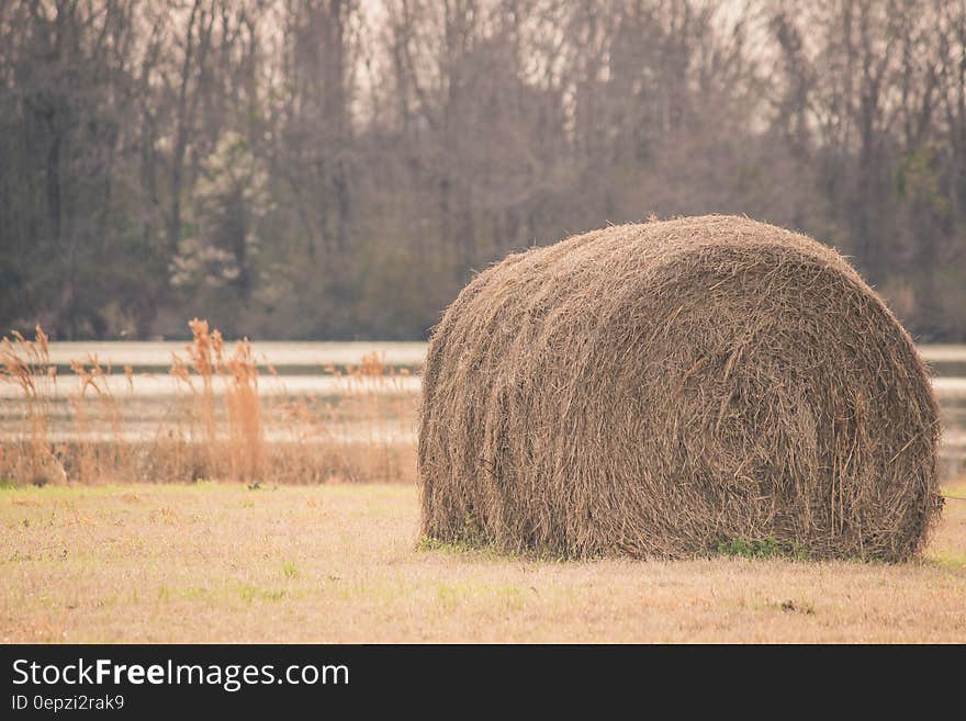 Sepia Tone Photography of Hay on Field