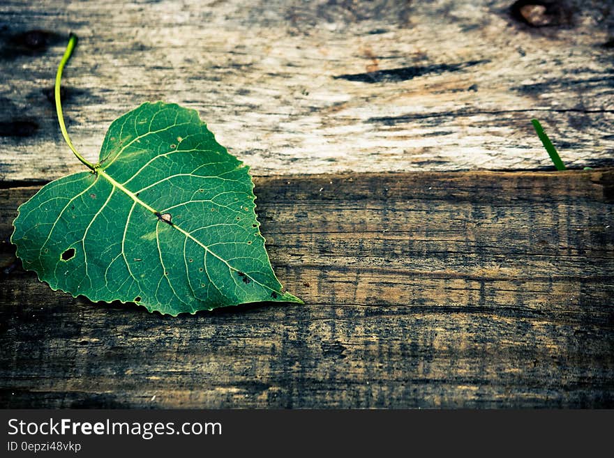 Green Leaf in Top of Brown Wooden Surface