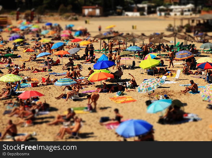 View of Umbrellas and People on a Crowded Beach