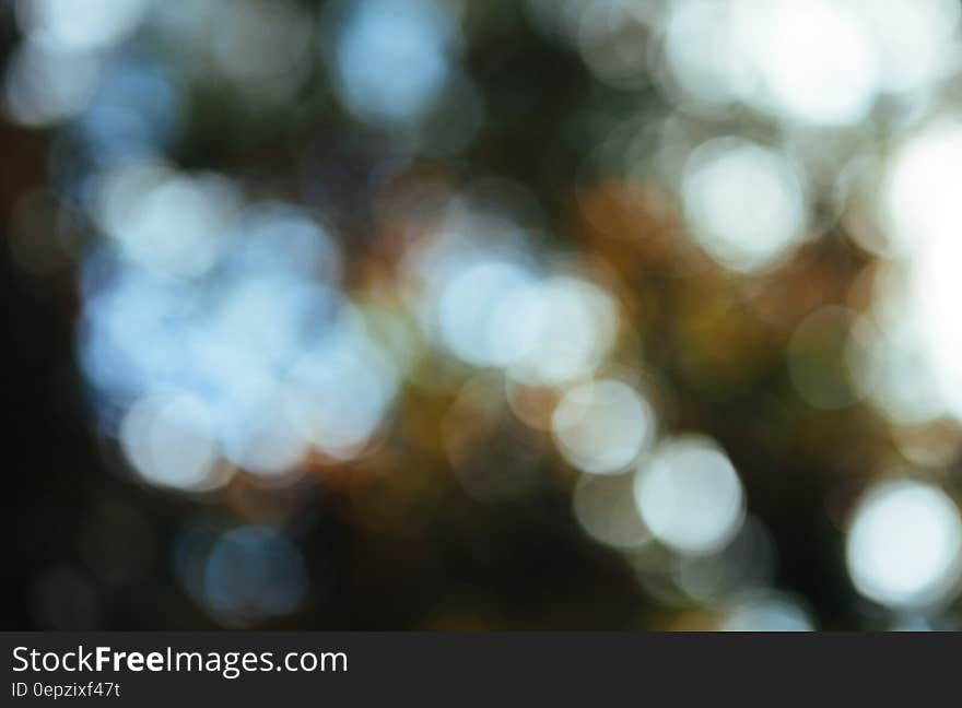 Abstract background of bokeh light blurs. Abstract background of bokeh light blurs.