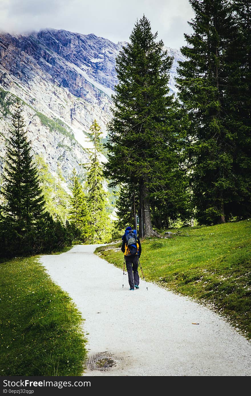 Person With Backpack Hiking Near Trees and Green Grass