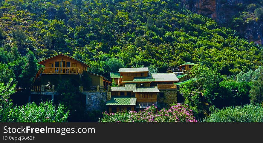 Brown and Green House in Mountain during Daytime