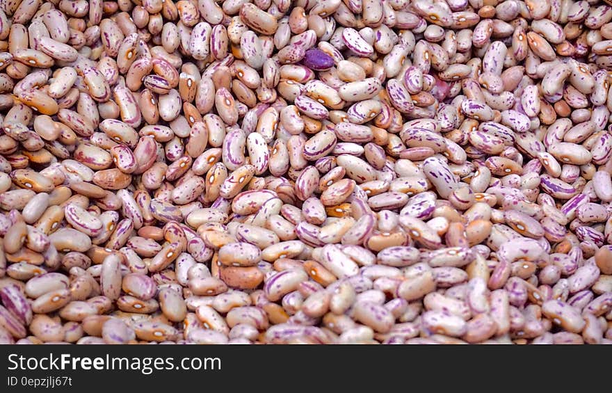 Beige and Purple Beans