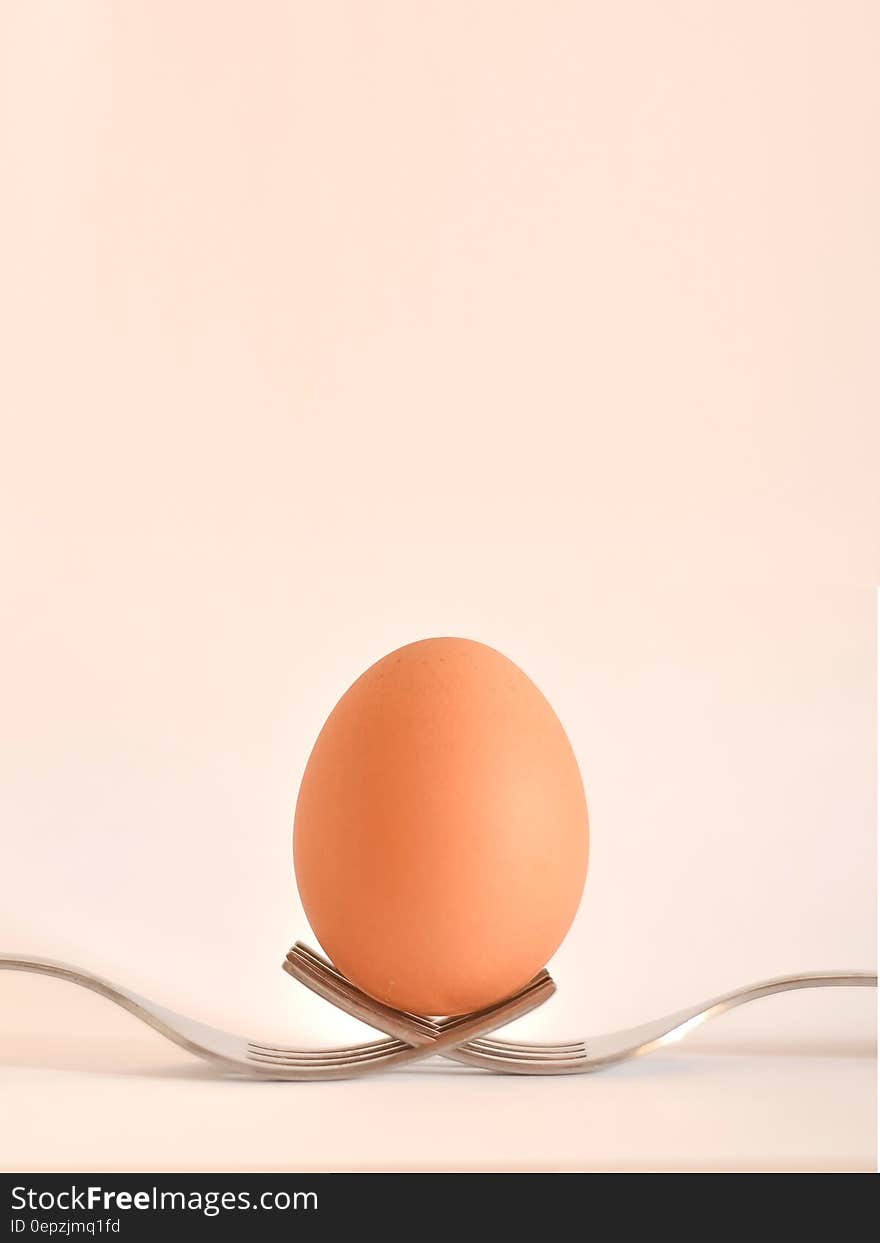 Side view of egg balancing on two forks with studio background and copy space.