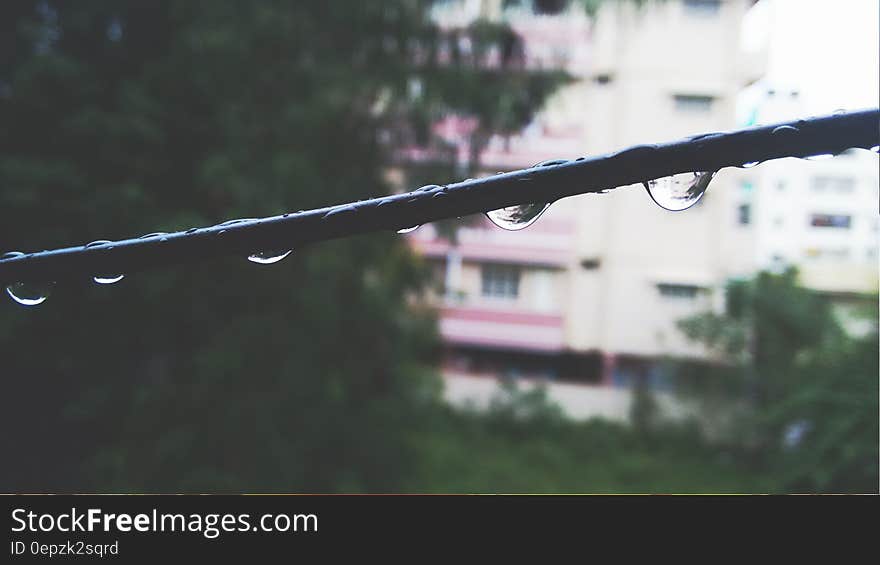 Selective Focus Photo of Water on Black Metal Rod